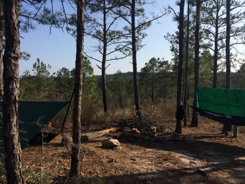 A campsite in a forest with two tarps set up between trees and a small fire pit surrounded by rocks.