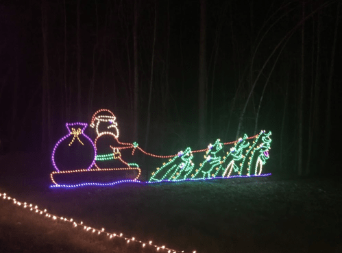 Colorful Christmas lights depicting Santa in a sleigh, pulling a bag and surrounded by green trees at night.