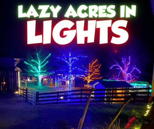 Colorful lights illuminate trees and structures at Lazy Acres, creating a festive nighttime scene.
