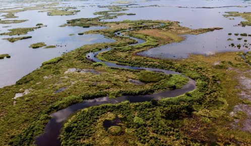 Aerial view of a winding river surrounded by lush greenery and wetlands under a clear blue sky.