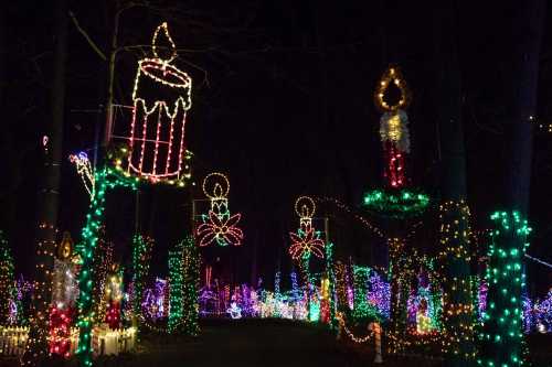 Colorful holiday lights illuminate a wooded path, featuring candles, flowers, and festive decorations at night.