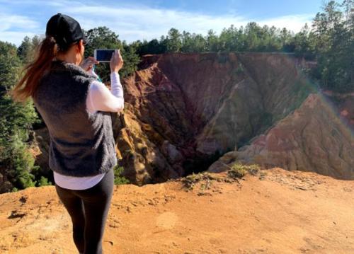 A person stands on a cliff, taking a photo of a colorful canyon landscape with trees in the background.
