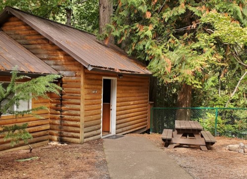 A rustic wooden cabin surrounded by trees, with a picnic table in front and a path leading to the door.