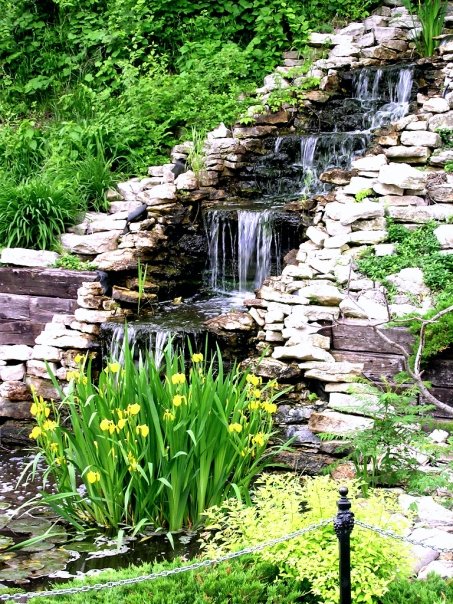 A serene garden scene featuring cascading waterfalls over rocks, surrounded by lush greenery and yellow flowers.