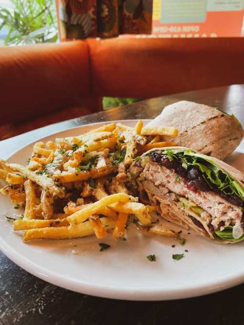 A plate with a wrap filled with meat and greens, alongside a generous serving of seasoned fries.