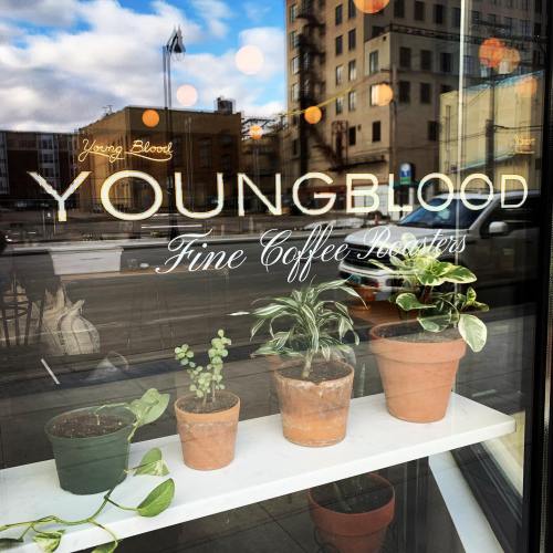 A window display featuring potted plants and the sign for "Youngblood Fine Coffee Roasters" in an urban setting.