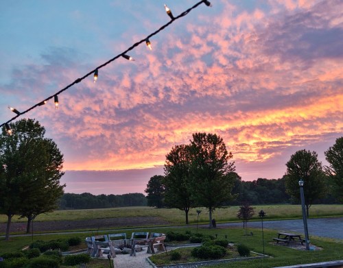 A vibrant sunset with pink and orange clouds over a grassy field, framed by trees and outdoor seating with string lights.