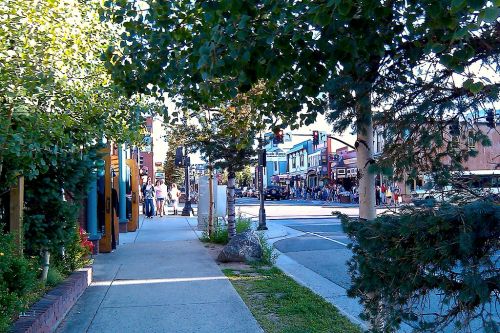 A bustling street scene with shops and pedestrians, framed by trees and greenery on a sunny day.