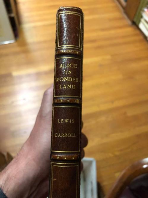 A hand holding the spine of a vintage book titled "Alice in Wonderland" by Lewis Carroll, with a wooden floor in the background.
