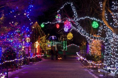 A festive pathway illuminated with colorful holiday lights, surrounded by trees and decorations, creating a magical atmosphere.