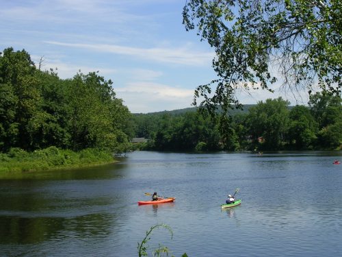 Two kayakers paddle on a calm river surrounded by lush green trees under a clear blue sky.