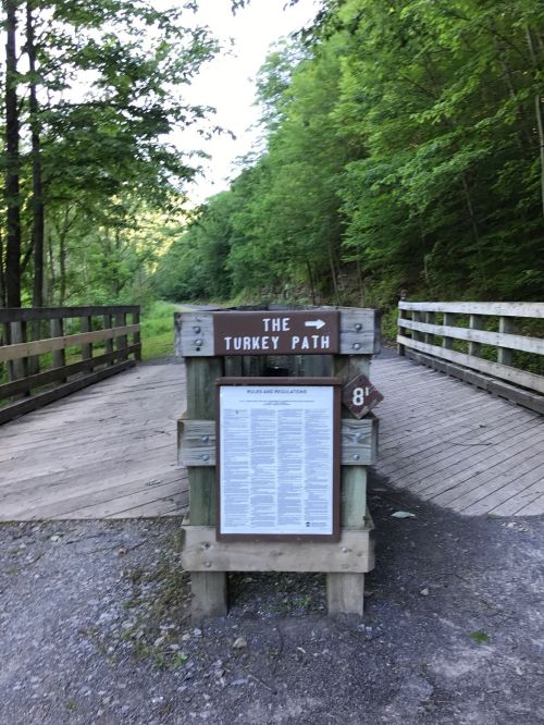 Signpost for "The Turkey Path" on a wooden bridge surrounded by lush greenery. Information board below the sign.