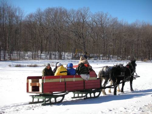 A horse-drawn sled carries passengers through a snowy landscape with bare trees under a clear blue sky.