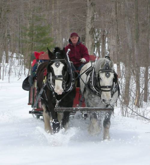 A person in a maroon coat drives a horse-drawn sleigh through snowy woods, pulled by two horses.