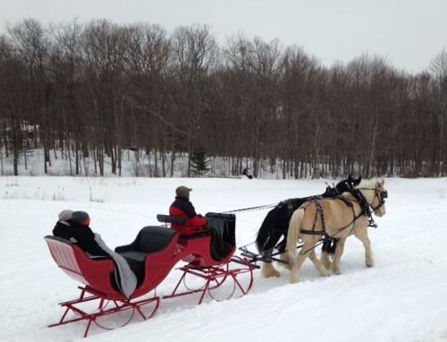A red sleigh pulled by a horse travels through a snowy landscape with trees in the background.