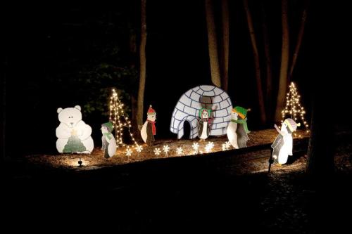 A festive nighttime scene with illuminated polar bears, penguins, and an igloo surrounded by twinkling lights and trees.
