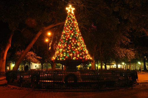 A brightly lit Christmas tree adorned with colorful lights stands in a park at night, surrounded by trees and a fence.