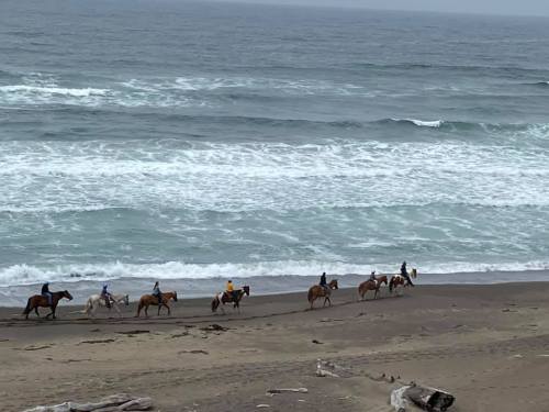 A group of riders on horseback walking along a beach with waves crashing in the background.