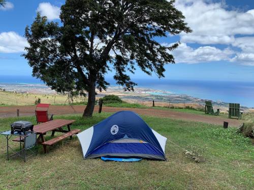 A blue tent set up on a grassy area with a picnic table and grill, overlooking a scenic view of the ocean and landscape.