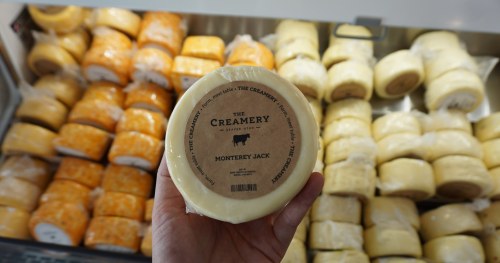 A hand holding a round cheese wheel labeled "Monterey Jack" in front of a display of various cheese wheels.