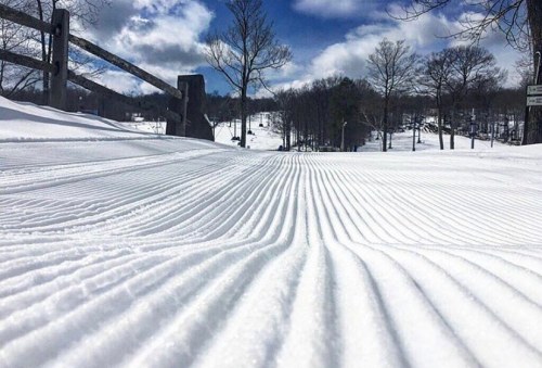 Freshly groomed snow trails under a bright blue sky with fluffy clouds and trees in the background.