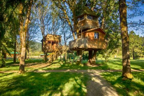 A wooden treehouse nestled among trees, featuring a deck and stairs, surrounded by lush green grass and foliage.