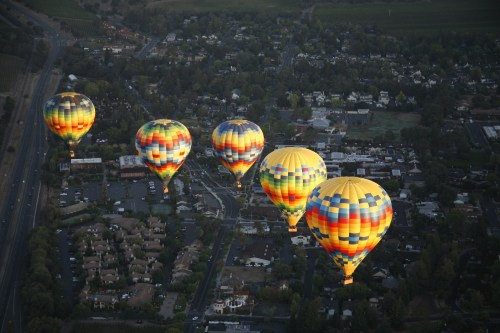 Aerial view of colorful hot air balloons flying over a suburban area and vineyards at sunset.