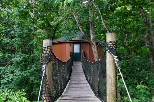 A wooden bridge leads to a small cabin surrounded by lush green trees.