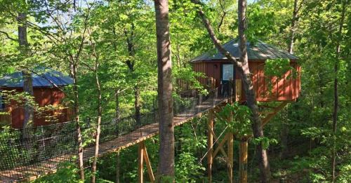 A treehouse nestled among lush green trees, connected by a wooden bridge.