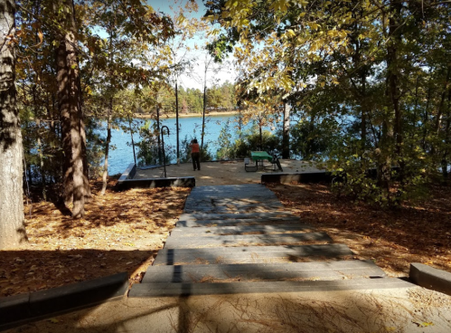 A serene pathway leads down to a lake, surrounded by trees with autumn leaves, creating a peaceful outdoor scene.