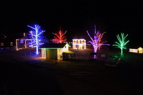 Colorful holiday lights illuminate trees and buildings in a dark night scene, creating a festive atmosphere.