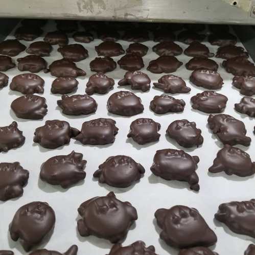 A tray filled with chocolate-covered treats shaped like small animal faces, arranged neatly in rows.