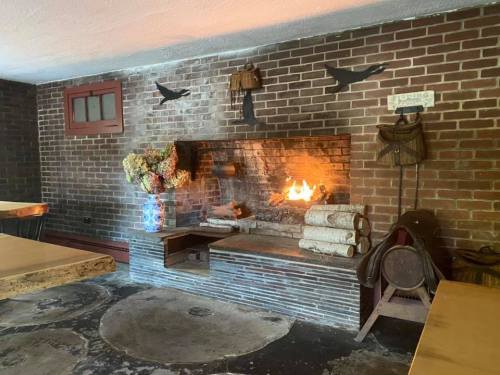 Cozy interior with a brick fireplace, logs stacked beside it, and decorative elements like flowers and wall art.