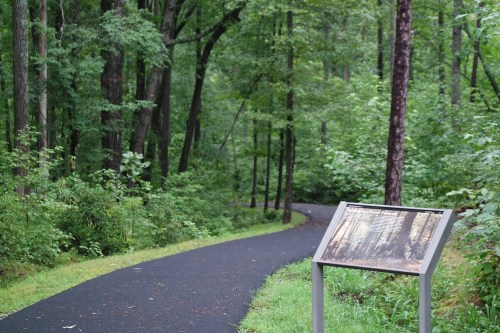 A winding path through a lush green forest, with an informational sign beside it.