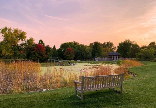 A serene park scene at sunset, featuring a wooden bench by a pond surrounded by lush greenery and colorful trees.