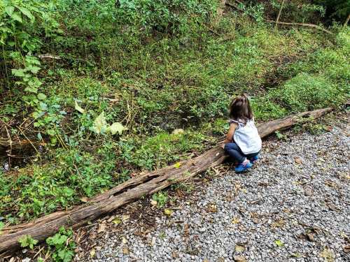 A child crouches by a stream, exploring nature among greenery and a fallen log.