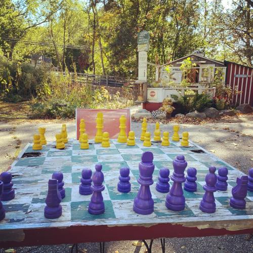 A colorful outdoor chess set with yellow and purple pieces on a weathered board, surrounded by trees and a quaint building.