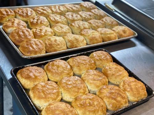 Two trays of freshly baked golden biscuits cooling on a kitchen counter.