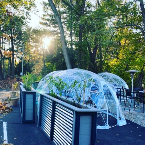 Clear plastic domes set up in a garden area, surrounded by trees, with sunlight filtering through in the background.