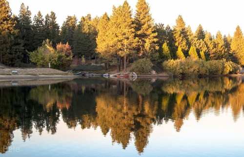 A serene lake surrounded by trees, reflecting golden sunlight and autumn colors on the water's surface.