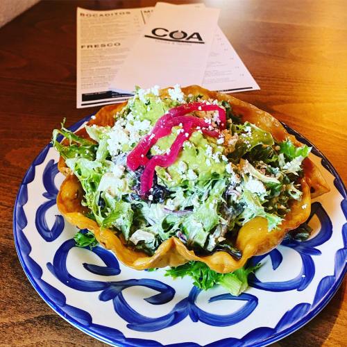 A colorful salad in a crispy tortilla bowl, topped with guacamole, pickled onions, and cheese, on a decorative plate.