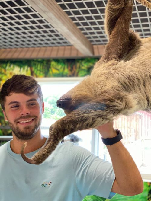 A young man smiles while holding a sloth's arm in a vibrant indoor setting with greenery in the background.