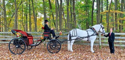 A horse-drawn carriage in a forest, with a driver in formal attire and a man in a suit holding the horse.