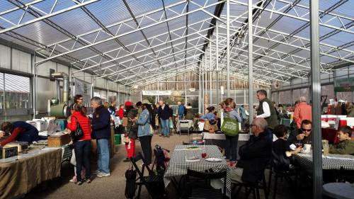 A bustling greenhouse market with people browsing tables, chatting, and enjoying food in a bright, open space.
