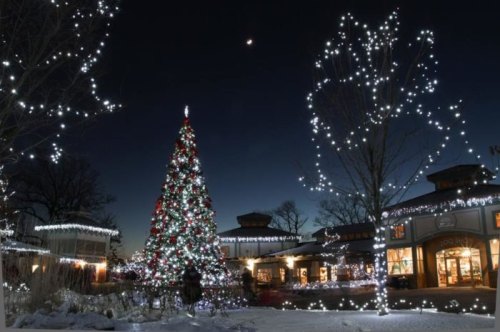 A beautifully lit Christmas tree surrounded by twinkling lights and festive decorations in a snowy evening setting.