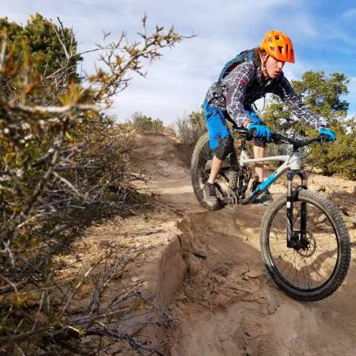 A mountain biker navigates a rocky trail, wearing an orange helmet and blue shorts, surrounded by shrubs and trees.