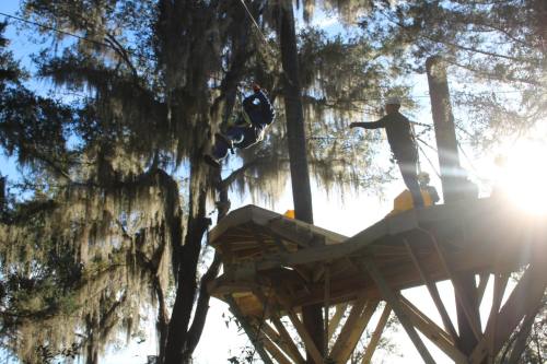 A person zip-lining from a platform among trees, with another person on the platform observing. Sunlight filters through the leaves.