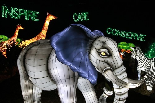 A lit elephant sculpture with glowing giraffes and zebras in the background, featuring the words "Inspire," "Care," and "Conserve."
