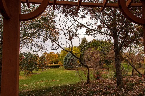 A view of a garden with autumn foliage, featuring trees and a grassy area under a wooden pergola.
