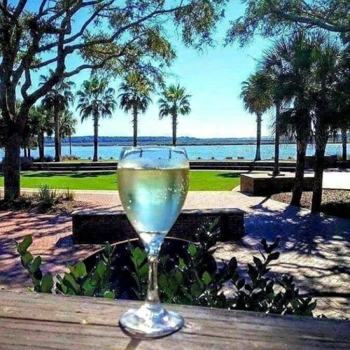 A glass of wine in the foreground with a scenic view of palm trees and a lake in the background.